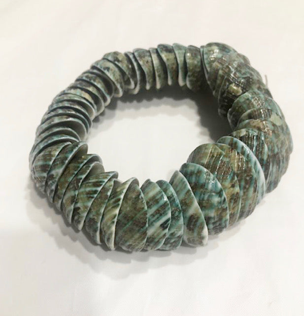 Sea Shell Stretch Bracelet
