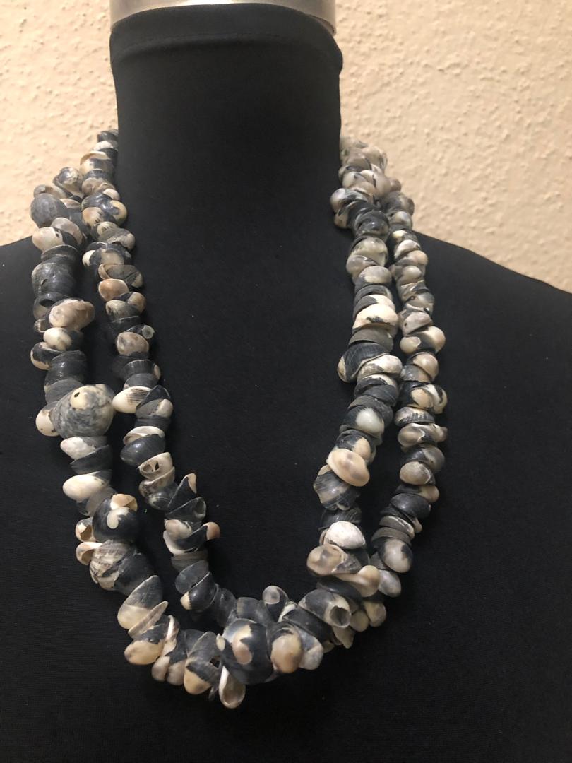 Natural Loop Seashell Necklace