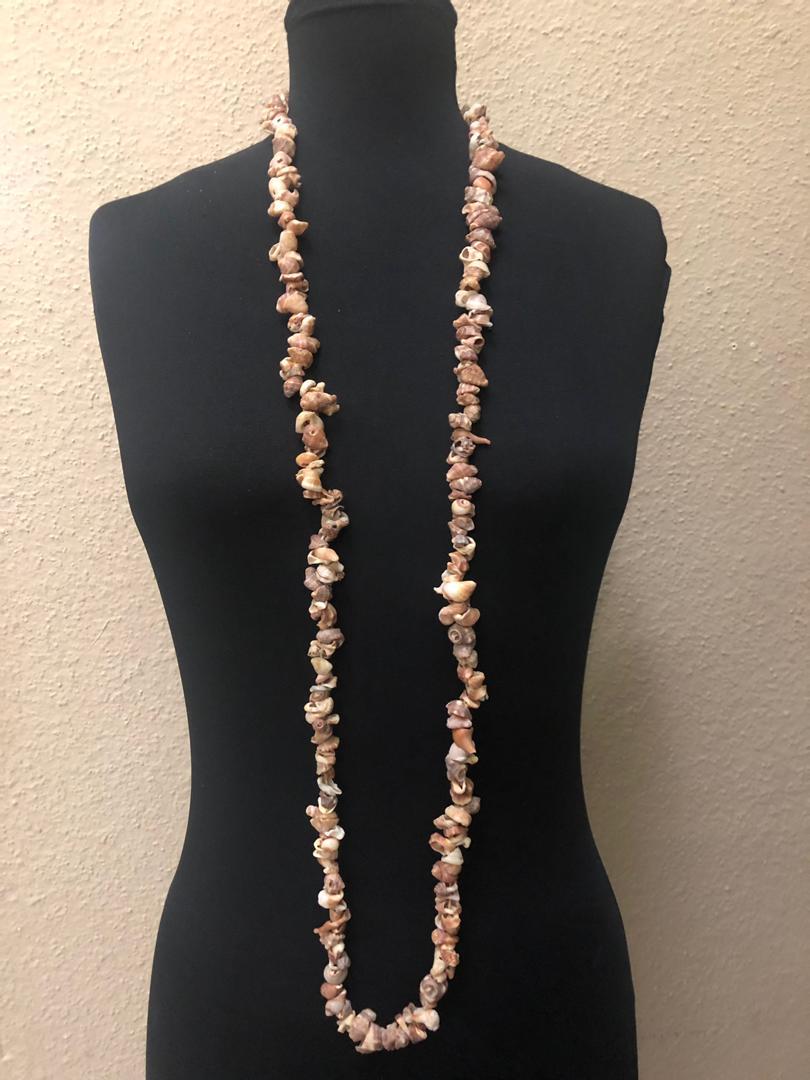 Natural Loop Seashell Necklace