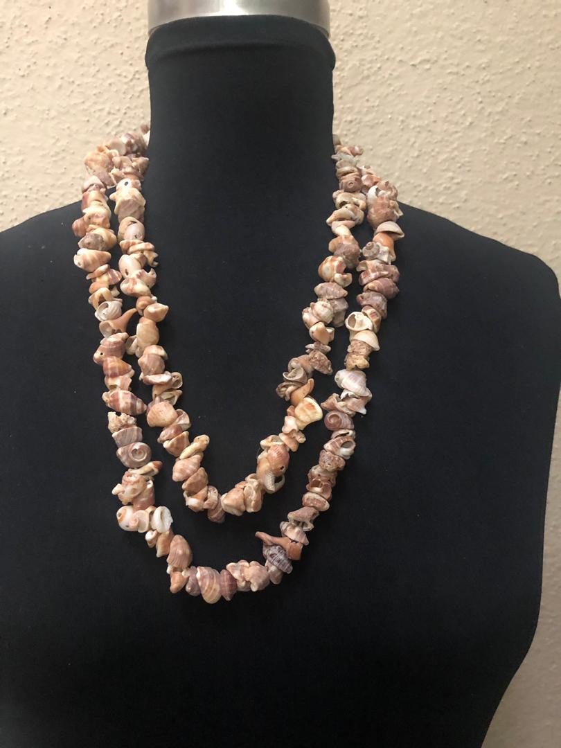 Natural Loop Seashell Necklace